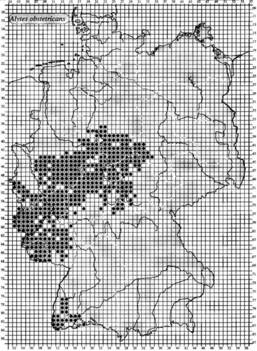 Verbreitungskarte der Geburtshelferkrte in Deutschland